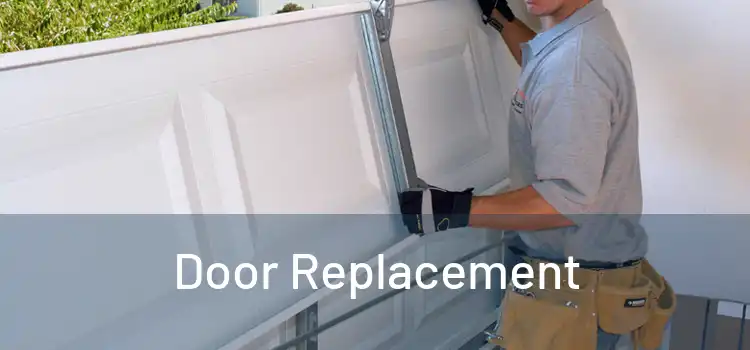  Door Replacement 