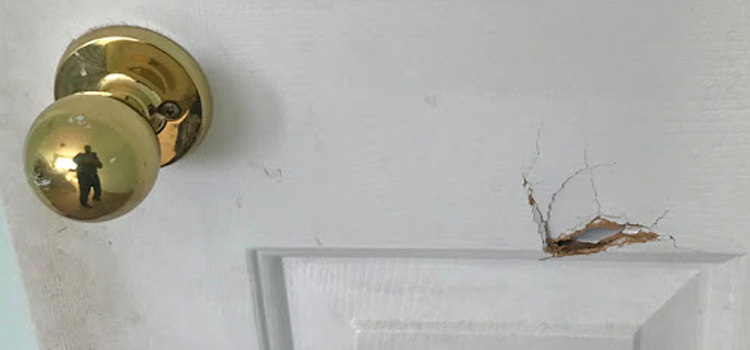 interior door hole repair Citrus