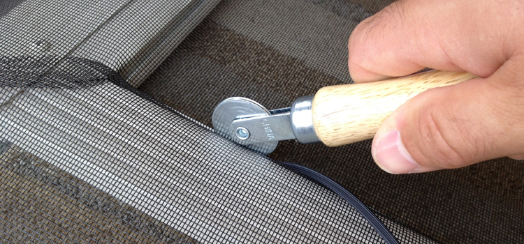 metal screen door repair in Citrus
