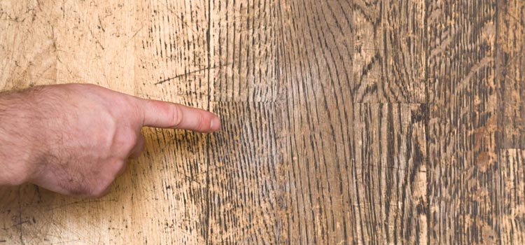 Wood Door Scratch Repair in Citrus